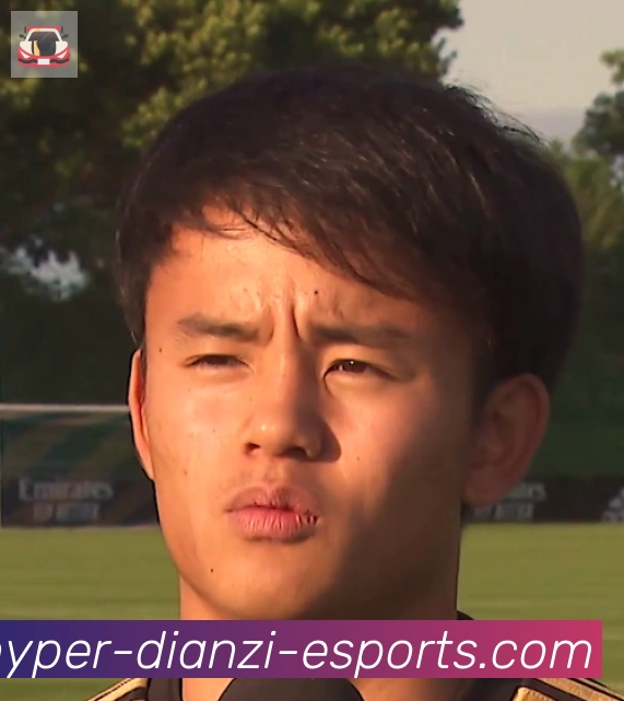 维尼修斯